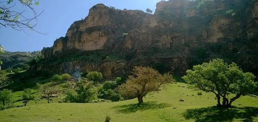 تصویر